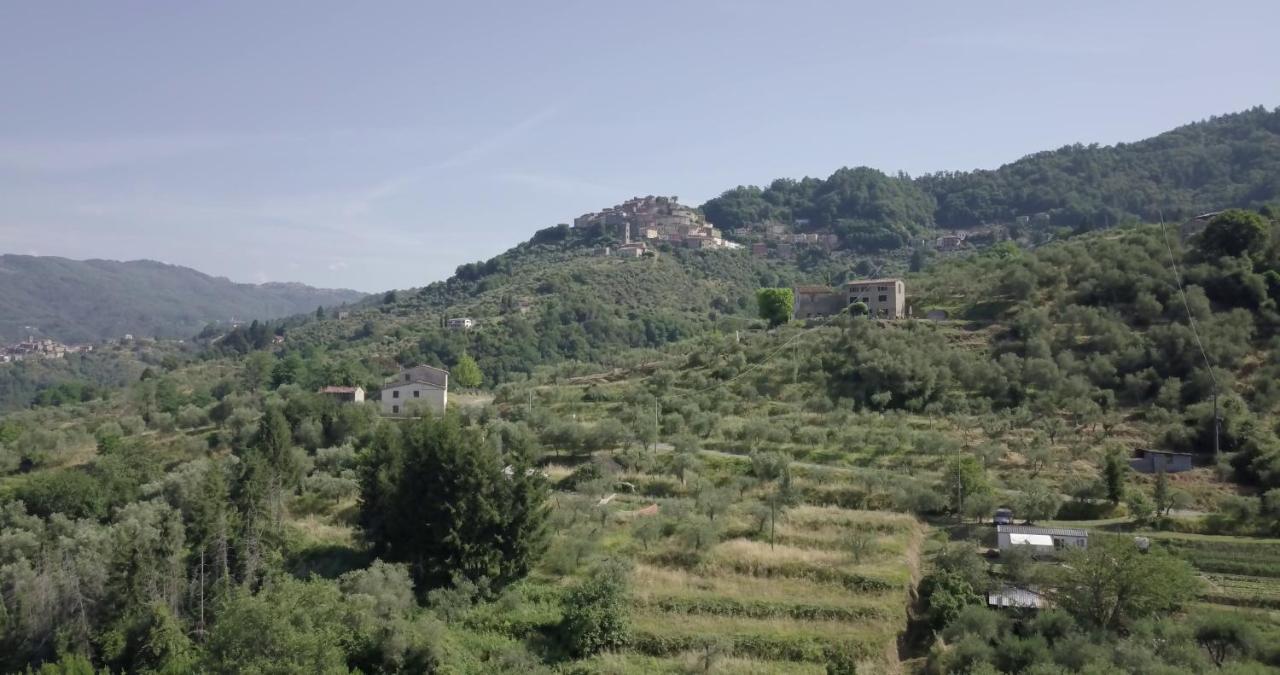 פשיה Luxury Villa In Tuscany - Casa Di Nonnas מראה חיצוני תמונה